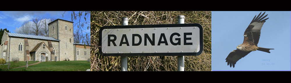 Radnage.net